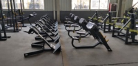 Les fabricants fournissent des équipements de sport de gym Banc d'exercices pour les extensions du bas du dos à 45 degrés