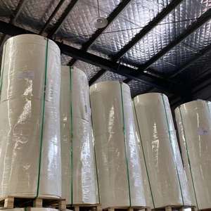 Materiales para Vasos de Papel Desechables, Rollo de Papel con Recubrimiento de PE para la Base de Vasos - Product Image 6