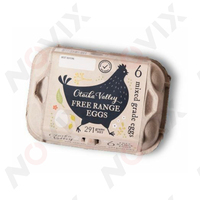 Imprimante automatique NOVIX pour boîtes à œufs, impression en une seule passe pour logo et date d'expiration, papier pulpe/boîte à œufs, imprimantes intelligentes tout-en-un