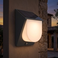 Lampe murale solaire IP54 avec capteur de proximité optique, portée de détection 5-6m, mono silicium, LED 0.2W, 3 CCT, liaison 2.4G, pour extérieur et jardin