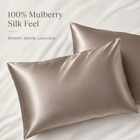 Taie d'oreiller de luxe 100% soie de mûrier de qualité 6A, respirante et lisse, taille personnalisable, avec fermeture à rabat