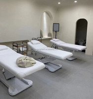 Offre Spéciale : Table de Traitement Moderne en Cuir Synthétique pour Salon de Beauté, Lit de Soin Ajustable pour Spa Facial, Lit Électrique pour Extensions de Cils à 2 Moteurs, Utilisation en Salon