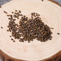 Vente en gros de graines de Milkvetch à tige plate Sha Yuan Zi de qualité supérieure, pour tisane chinoise à base de plantes