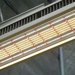 Luces LED de Cultivo PTU de 650W de Bajo Consumo para Flores de Interior, Vegetales de Hoja Verde y Cultivos Hidropónicos - Product Image 6