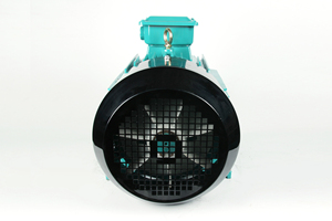 มอเตอร์ไฟฟ้าแบบอะซิงโครนัส รุ่น Y2 160M1-2 ซีรีส์ 11KW 15HP สามเฟส แบบเหนี่ยวนำ  ทองแดงแท้ 100% - Product Image 3