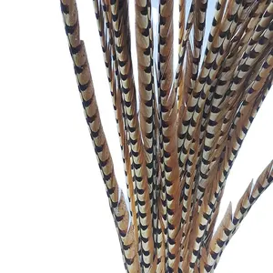 60 นิ้ว (150 เซนติเมตร) จีนผู้ผลิตราคาถูกธรรมชาติขนาดใหญ่ Reeves Pheasant Tail Feathers สำหรับตกแต่ง