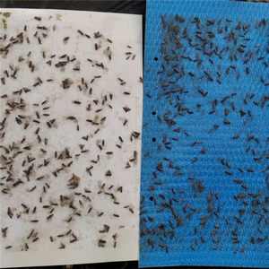 Piège à colle en plastique suspendu pour mouches des fruits, attrape-insectes portable pour placards et lutte antiparasitaire domestique - Product Image 5