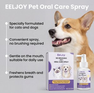 Spray Bucal para Limpieza Dental de Mascotas, Spray Oral para Perros y Gatos, Cuidado <span class=keywords><strong>del</strong></span> <span class=keywords><strong>Aliento</strong></span> Fresco, Limpieza de Dientes, Eliminador de <span class=keywords><strong>Mal</strong></span> <span class=keywords><strong>Aliento</strong></span> - Product Image 5