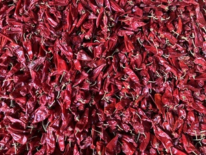 فلفل حار مجفف ييدو فلفل أحمر صيني منشأ فلفل كامل - Product Image 6