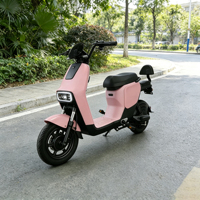 Bicicleta Eléctrica Urbana M12 48V 350W, Neumático de Vacío de 14 Pulgadas, 2 Asientos, Bicicleta Eléctrica para Adultos