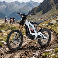 Moto électrique tout-terrain Light Bee Surron 10000w 72V 35ah 80kmh Sunron Light Bee