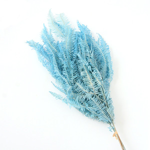 Fleur Préservée De haute Qualité Gros Feuilles de Fougère Dicranopteris <span class=keywords><strong>Dichotoma</strong></span> Feuille - Product Image 4