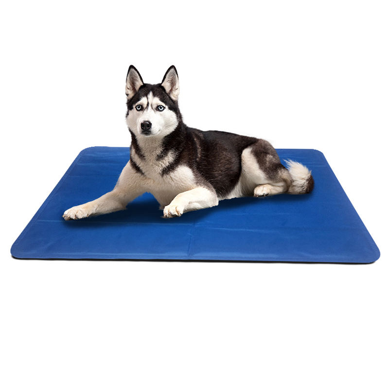 สีน้ำเงินเข้ม