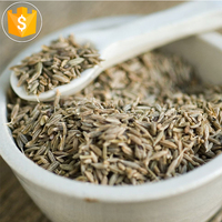 Graines de cumin vertes entières séchées AD brutes en vrac OEM de Chine