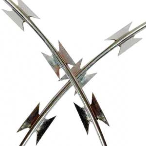 OT ALE ow Rice arroz Ba 28 Gvanivanioncertina nanake bed Arbed teteel IRE - Product Image 3