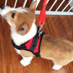 Vest Style Dog <b>Harness</b> Adjustable Chest Strap For Small Medium Large Dogs Red Black Color Solid Pattern <b>Pet</b> Walking Leash - Product Image 1