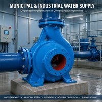 Pompe à eau en acier inoxydable et en fer pour l'agriculture et l'irrigation, électrique/diesel, personnalisable OEM
