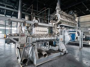 Ligne de production automatique d'aliments flottants pour poissons à double vis de 3-5 TPH, extrudeuse d'aliments pour poissons, usine de traitement complète pour Tilapia et Poisson-chat - Product Image 3