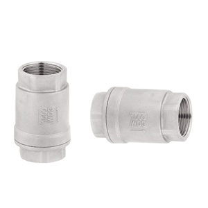 Válvula de Retención Vertical de Resorte de Acero Inoxidable 316 de 2 Piezas con Rosca NPT Tipo MM - Product Image 1