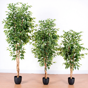 ต้นไทรปลอมพลาสติกประดับตกแต่งภายในสำนักงาน ลดราคาจากโรงงาน - Product Image 1