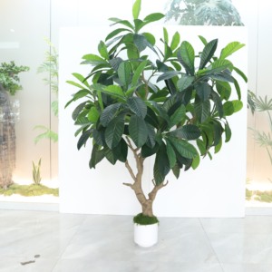 Plantas de maceta grande de plástico Árbol de níspero <span class=keywords><strong>artificial</strong></span> para decoración del hogar Diseño desmontable para interiores y exteriores - Product Image 2