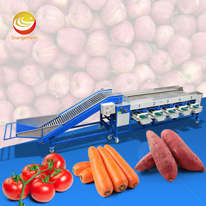 Máquina Clasificadora de Frutas ORME, Clasificadora de Manzanas Electrónica de Tamaño de Calibración de Grado Frutal para Naranjas - Product Image 1