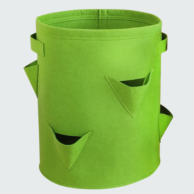 สีเขียว