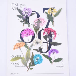 Petit narcisse avec Branches séchées fleur pressée pour bricolage coque de téléphone signet soie ventilateur lampe de Table cadre Photo Nail Art - Product Image 1