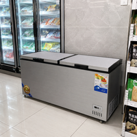 Congélateur coffre horizontal à refroidissement direct, 2 portes, dégivrage manuel, température unique, usage commercial pour restaurants