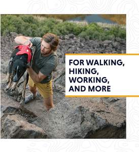 समायोज्य चिंतनशील भारी-शुल्क मजबूत कुत्ता बनियान चलना प्रशिक्षण के लिए चलने वाली शैली - Product Image 6