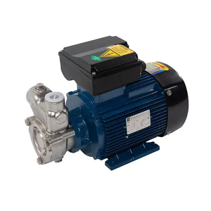 Mezclador de gas y líquido de aire y agua de acero inoxidable, bomba de producción de agua y ozono, bomba mezcladora de ozono, generador de nano burbujas para tanque DAF - Product Image 1