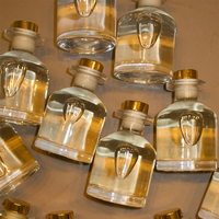 Aikun - Juego de Difusores de Aroma con Varillas de Vidrio Personalizados al por Mayor, Difusor de Aroma para el Hogar y la Habitación, Botella de Vidrio para Difusor de Aroma