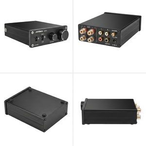 Amplificateur de Subwoofer Mini <span class=keywords><strong>AIYIMA</strong></span> A1001 100W Classe D HiFi Mono Numérique Haute Puissance pour la Maison Guangdong - Product Image 4