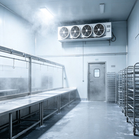 Unité de condensation à refroidissement par air Emerson Scroll R22 pour système de réfrigération industrielle avec évaporateur de congélateur rapide et refroidisseur