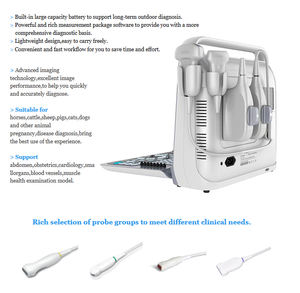 Échographe Doppler Couleur Vertical Portable P60 Économique à Bas Prix, Machine d'Échocardiographie Médicale à Infrarouge Lointain en Acier Inoxydable - Product Image 4