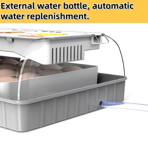Cho HHD 20-công suất trứng tự động gà lồng ấp cho chim nhỏ điều kiện mới gia cầm nở lồng ấp cho ngỗng nở - Product Image 4