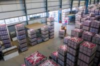 Contenedor Refrigerado de 20 y 40 Pies para Frutas y Verduras con Compresores Automáticos Copeland Emerson, Solución Integral de Construcción