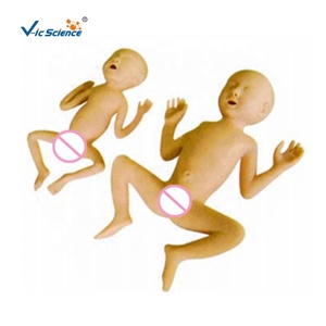 Maniquí de PVC de Bebé <span class=keywords><strong>Prematuro</strong></span> de 30 Semanas, Modelo Realista para Entrenamiento de Enfermería, Ciencias Médicas - Product Image 4