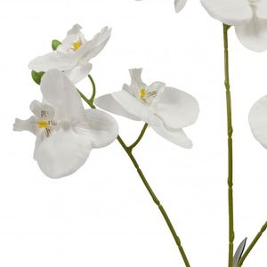 ดอกไม้กล้วยไม้ผ้าไหมสีขาวสัมผัสได้จริงเป็นมิตรกับสิ่งแวดล้อม - Product Image 4