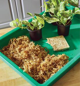Wholesale Custom Compressed Dry Brick Long Fiber Sphagnum Peat Moss Reptile Substrate Plants Glass Ceramics Material - Product Image 6