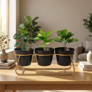 Macetero de Metal Contemporáneo con Soporte de Hierro, Maceta Elevada Decorativa para Plantas de Interior, Hogar Moderno - Product Image 4