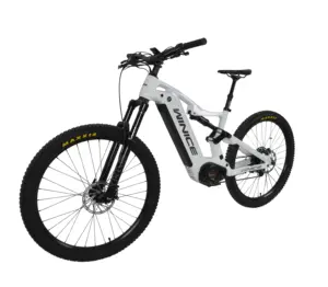 DENGFU E-BIKE dağ bisikleti E55 Bafang motor M620 52V tam süspansiyonlu karbon çerçeve bisiklet 12S versiyonu