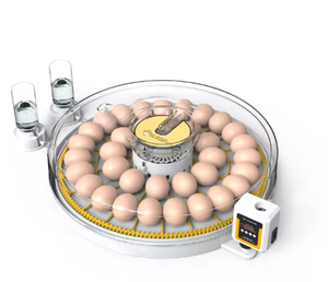 Incubateur à œufs pour 70 œufs, conçu pour les exploitations agricoles à domicile, contrôle précis de la température, taux d'éclosion jusqu'à 98% - Product Image 6