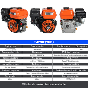 Motore a Benzina Monocilindrico a 4 Tempi 7HP Raffreddato ad Aria Euro 5 208cc OHV per Macchinari Stradali e Pompe Idriche - Product Image 6