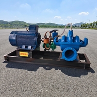 Pompe centrifuge à double aspiration à corps fendu pour le contrôle des inondations, l'irrigation et le drainage des zones régionales, à haut rendement énergétique