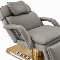 Table de soin électrique à 3 moteurs avec colonne en titane, hauteur réglable, pour salon, spa, tatouage, microblading, traitement dentaire