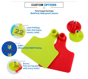 खेत पशु उपकरण कान टैग क्रम संख्या मुद्रण के साथ मवेशी भेड़ सुअर कान टैग - Product Image 4