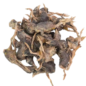 उच्च गुणवत्ता वाले 50 ग्राम फ्रीज-सूखे क्वेल पालतू जानवरों के लिए जैविक मांस सुरक्षित, थोक या ओएम उपलब्ध खाद्य बिल्ली - Product Image 1