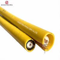 Câble coaxial RF MSLYFYVZ-75-9 75 Ohm à fuite radiante pour couverture de signal et communication souterraine dans les mines