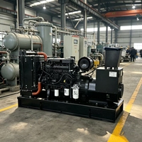 Groupe électrogène diesel Weichai 62,5 kVA 50 kW à châssis ouvert 4 cylindres pour usine, ferme, atelier, entrepôt frigorifique